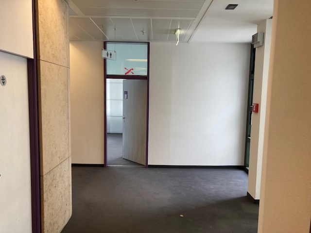 Showroom Böden. Wände, Decken mit Stoff bespannt. In verschieden Themenbereiche unterteilt. Altes Bürogebäude entkernt, Böden aus Gummi, Teppich, Echtholz